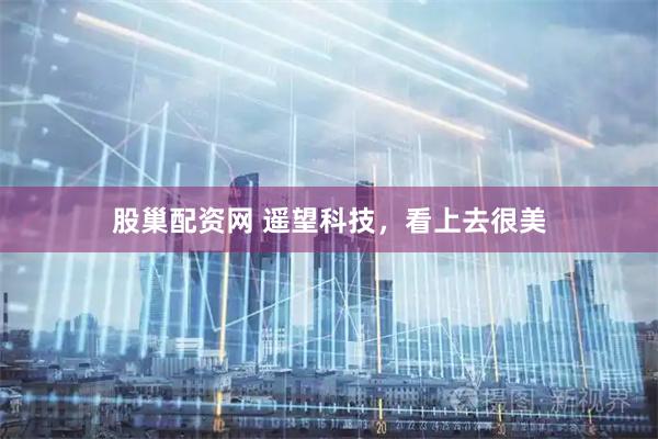 股巢配资网 遥望科技，看上去很美