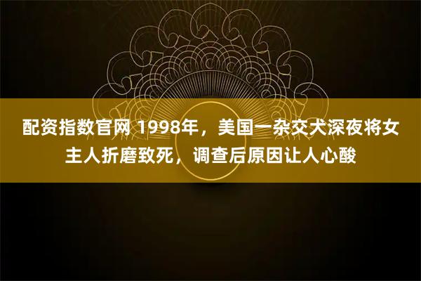 配资指数官网 1998年，美国一杂交犬深夜将女主人折磨致死，调查后原因让人心酸