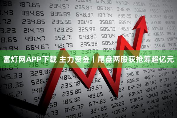 富灯网APP下载 主力资金丨尾盘两股获抢筹超亿元