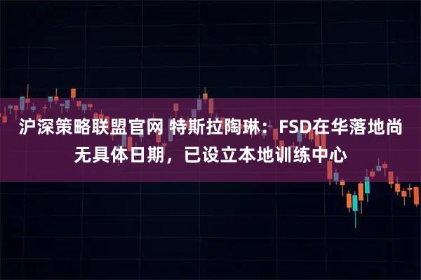沪深策略联盟官网 特斯拉陶琳：FSD在华落地尚无具体日期，已设立本地训练中心